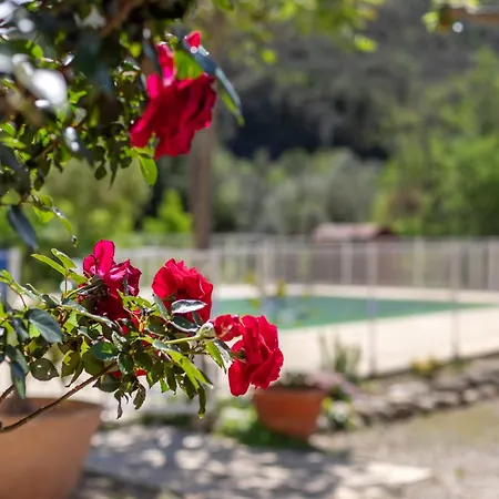 Holiday home 3 Entre 2 Et 4 Personne