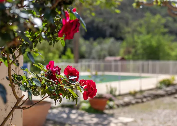 Casa vacanze 3 Entre 2 Et 4 Personne